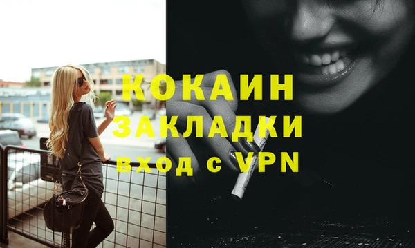 сатива Инта