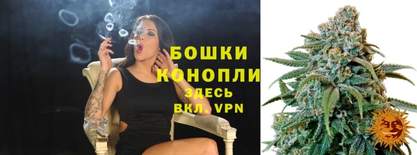 крисы Аркадак