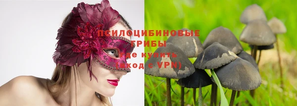 эйфоретик Армянск