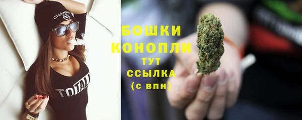 крисы Аркадак