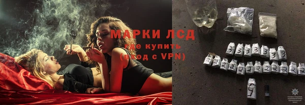 крисы Аркадак