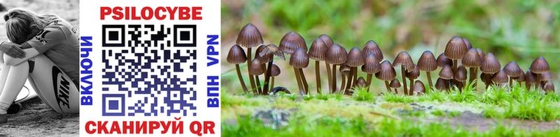 Псилоцибиновые грибы GOLDEN TEACHER  Струнино 
